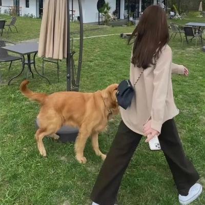 女子十二不设防